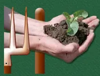 Горох Детский сахарный. (Аэлита)