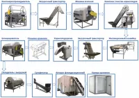 Линии переработки и заморозки овощей от 200 кг до 2000 кг/час