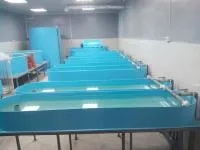Лотки для малька