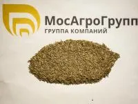 Семена овсяницы луговой Надежда